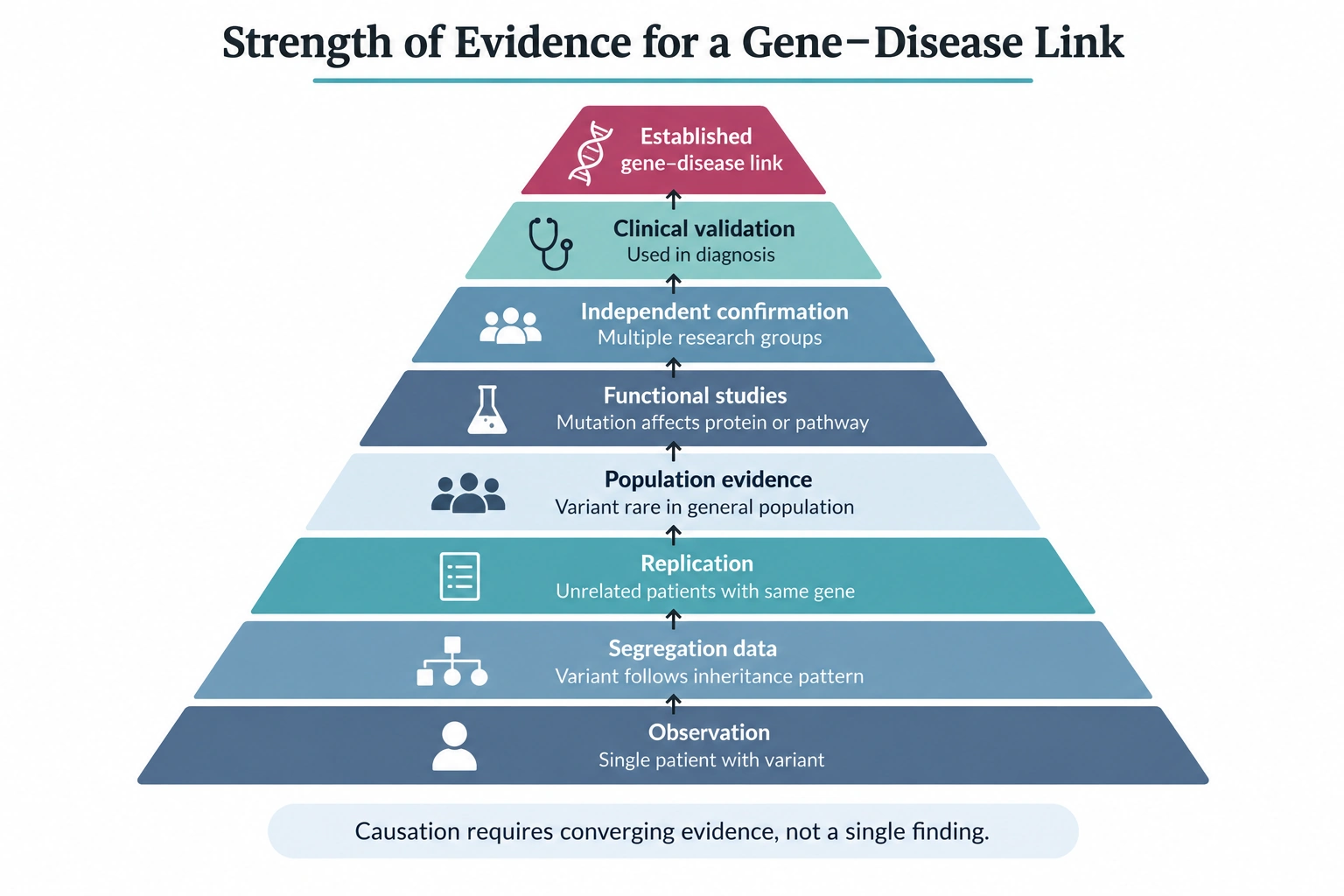 Levels of Evidence in Rare Disease Gene Discovery