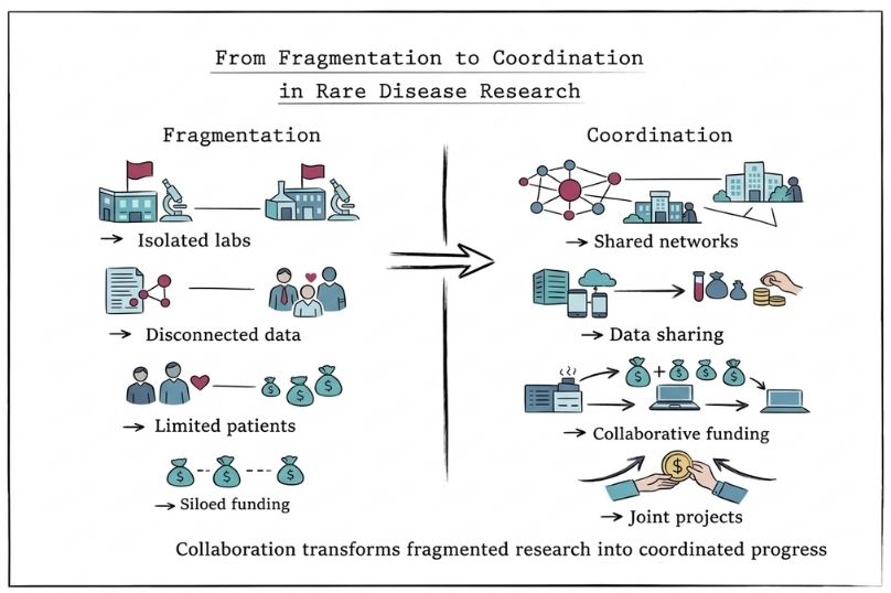From Fragmentation to Colloboration in Rare Disease Research