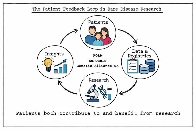 The Patient Feedback Loop in Rare disease Research