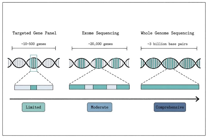 the genetic testing spectrum
