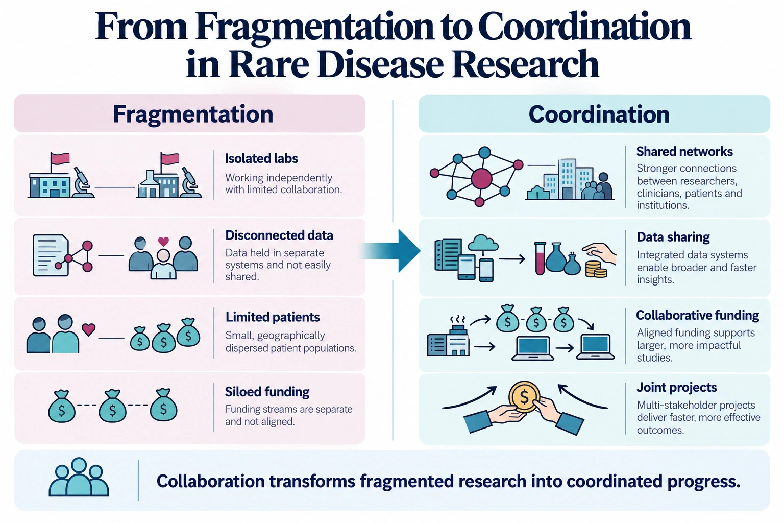 From Fragmentation to Colloboration in Rare Disease Research