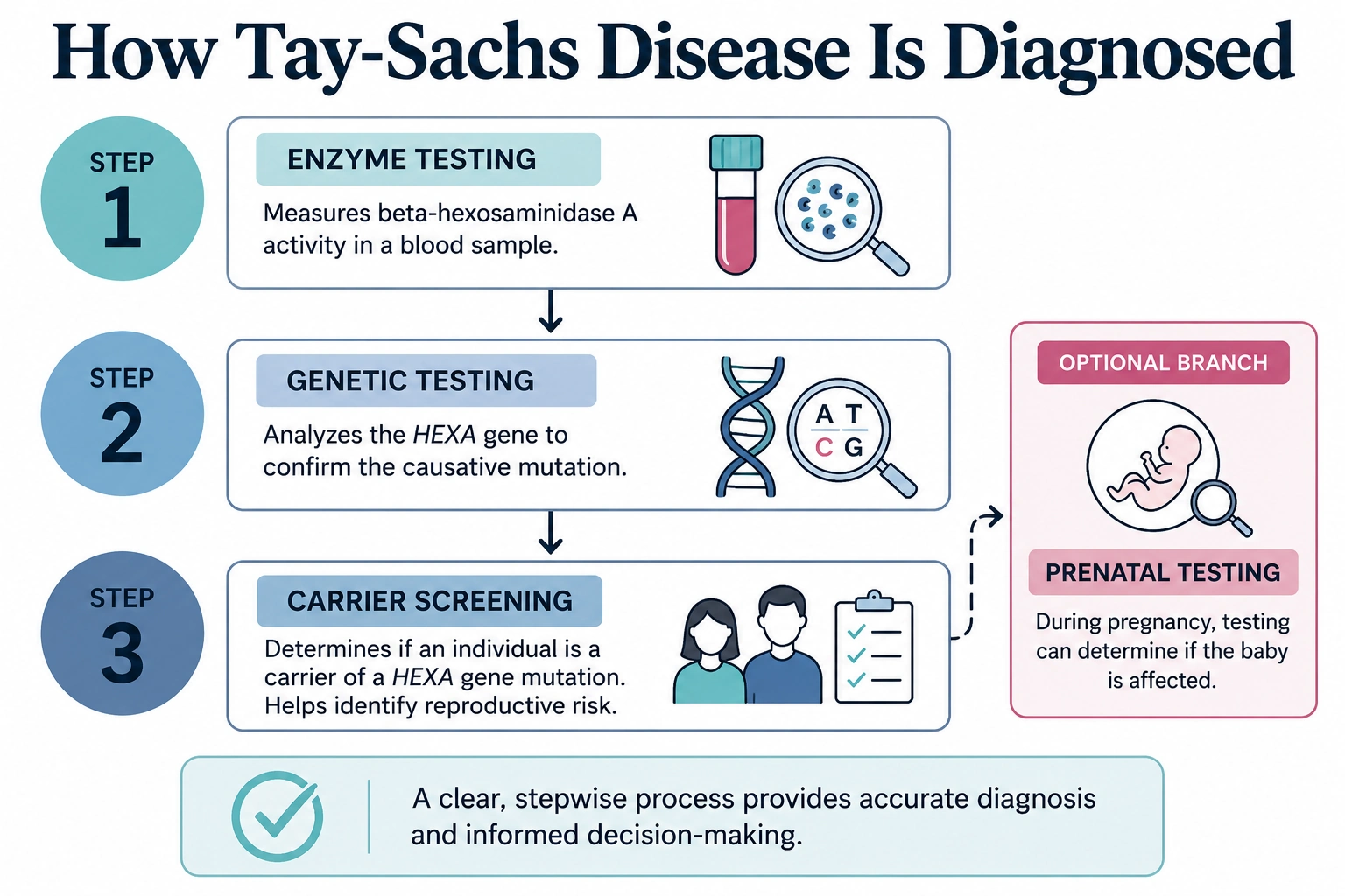 How Tay Sachs Disease is Diagnosed